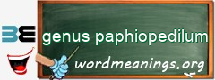 WordMeaning blackboard for genus paphiopedilum